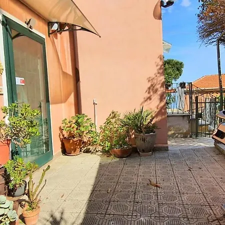 Mimosa Apartamento