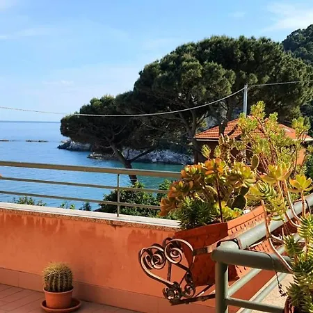 Mimosa * Bergeggi
