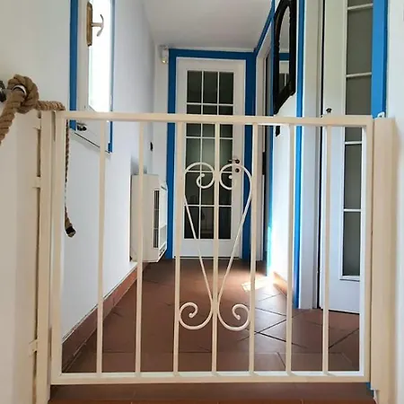 Mimosa Daire Bergeggi